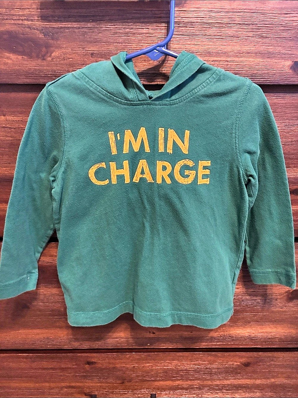 babyGap I'm In Charge Graphic Hoodie